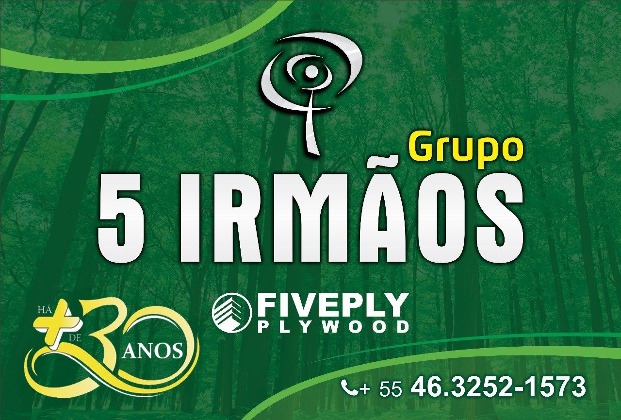 logo 5 Irmãos